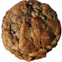 Brown cookie with visible nuts and chocolate chips on a white background