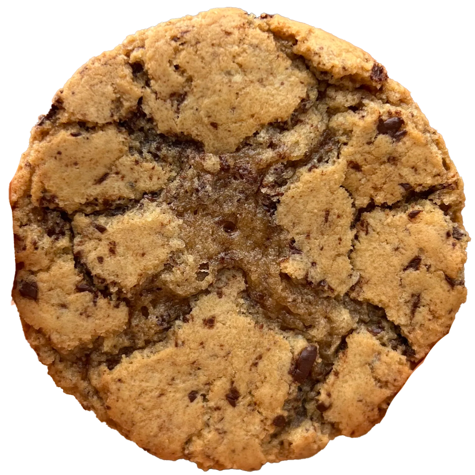 0.010 chocolate chip