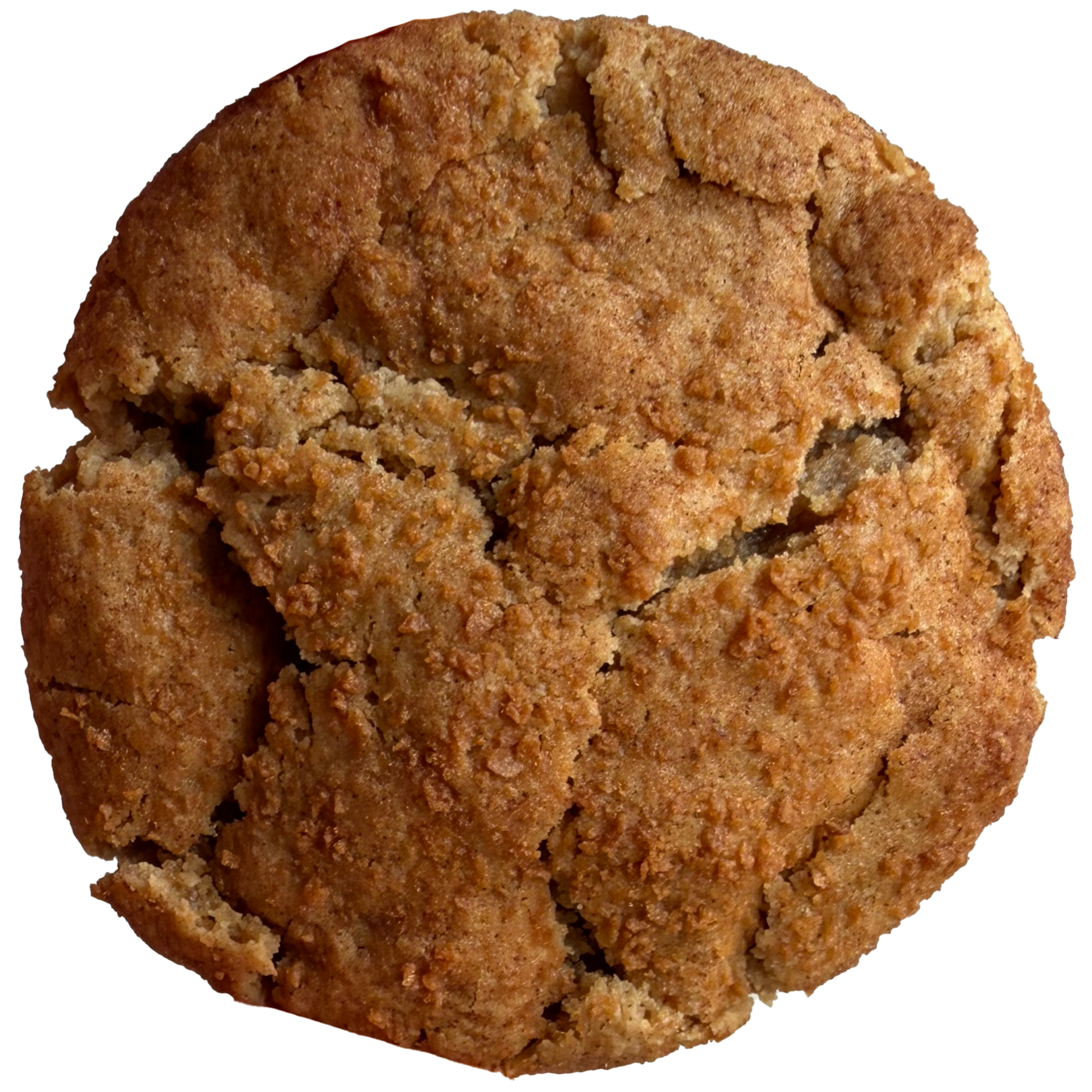 3.340 snickerdoodle