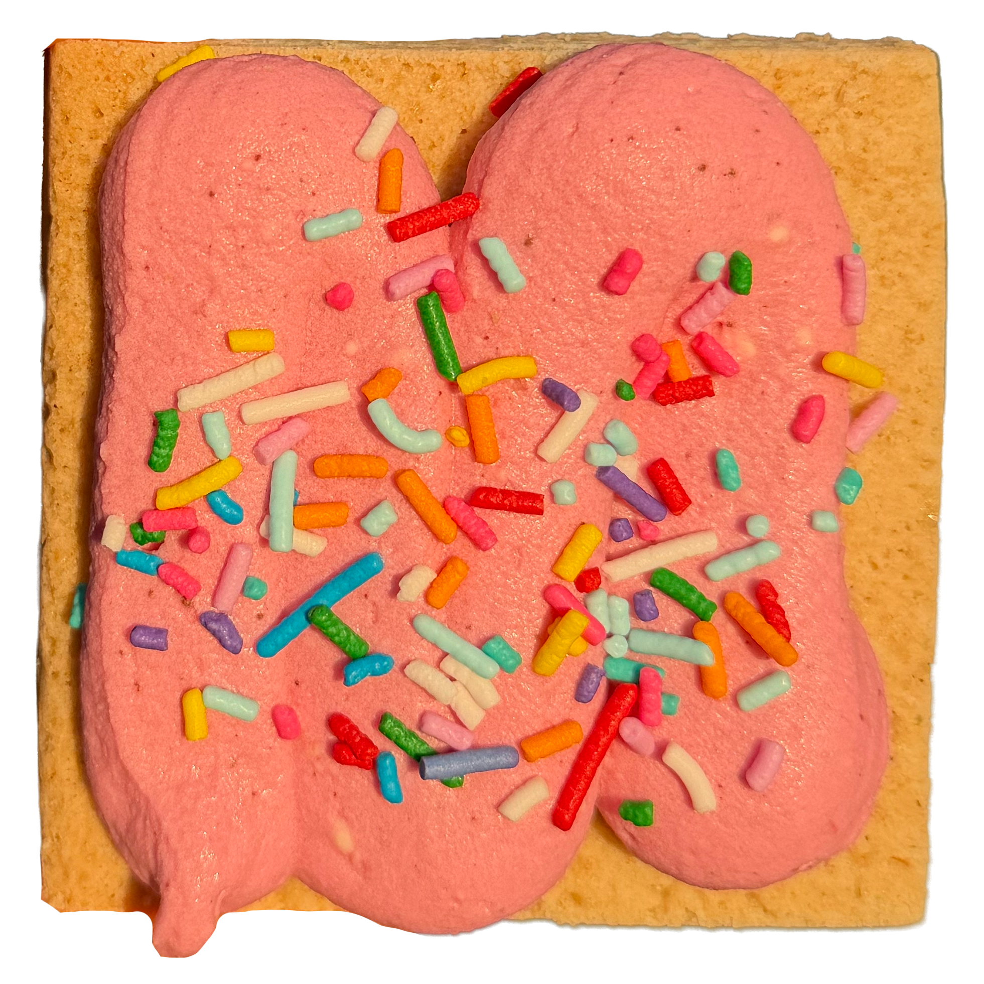 3.030 sugar cookie bar